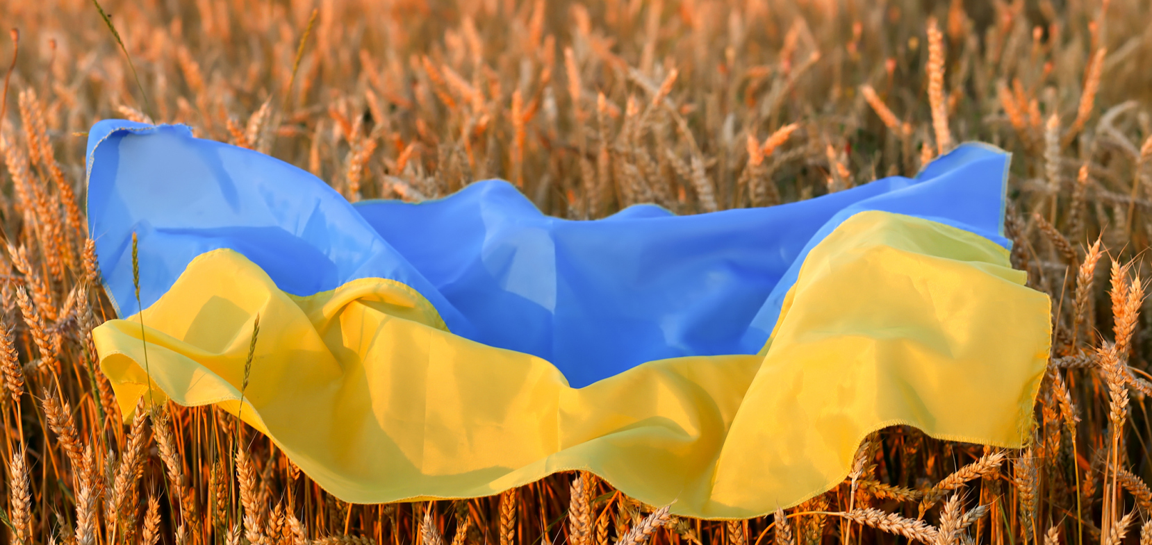 Ukrainekrieg und Welternährung 24. Mai 2022, 18:00 bis 19:30 Uhr online